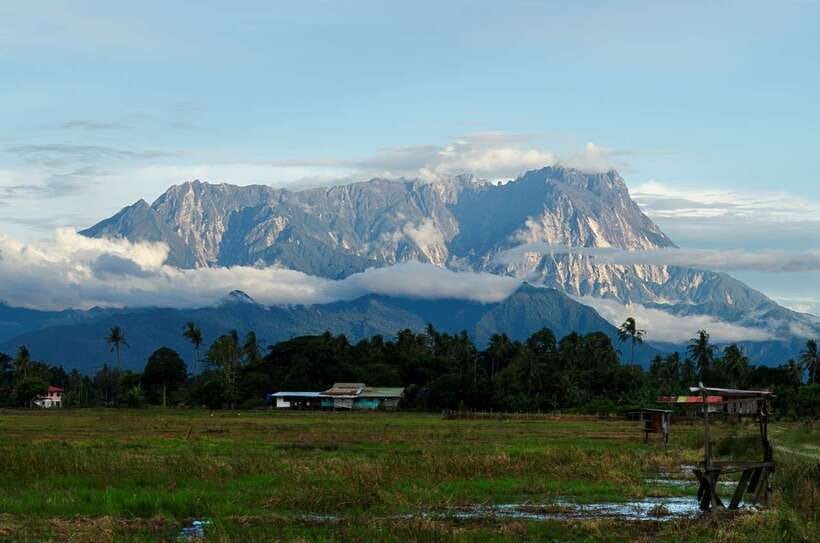Kota Kinabalu: Private Kundasang and Poring Hot Spring Tour - A full day on Sabah’s mountain road