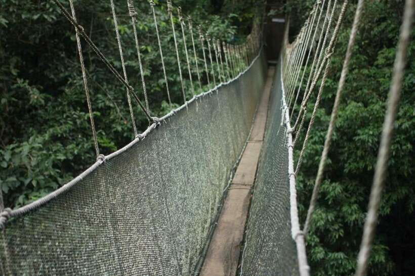 Kota Kinabalu: Private Kundasang and Poring Hot Spring Tour - Poring Hot Springs: relaxation with a few extra costs