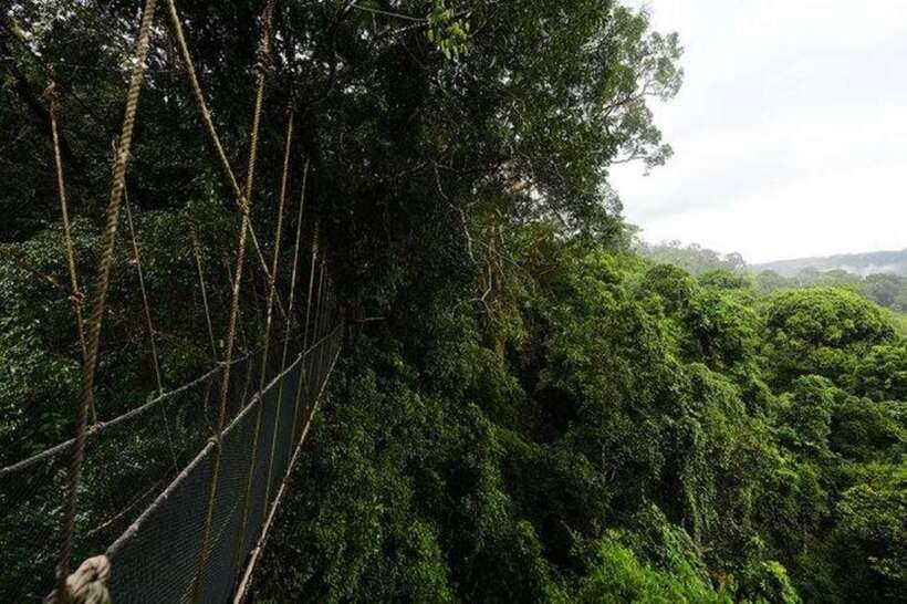 Kota Kinabalu: Private Kundasang and Poring Hot Spring Tour - Guide quality can change the whole day