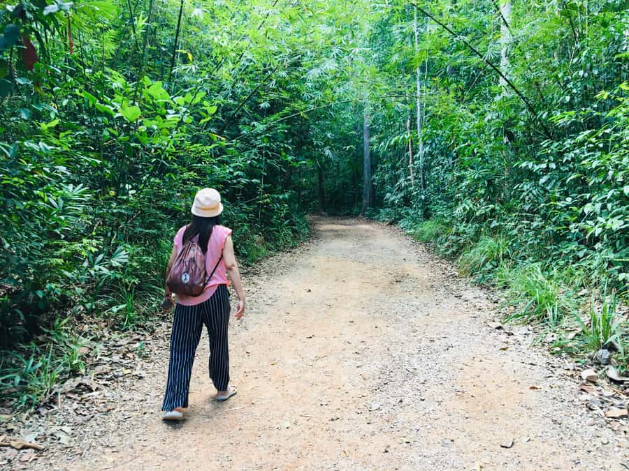 Krabi: Emerald Pool and Hot Spring Waterfall with ATV Riding - ATV riding on rough jungle tracks