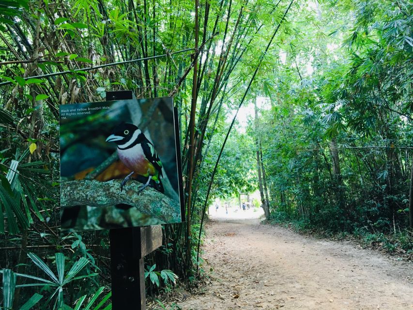 Krabi: Emerald Pool and Hot Spring Waterfall with ATV Riding - Lunch in the jungle, with some limits