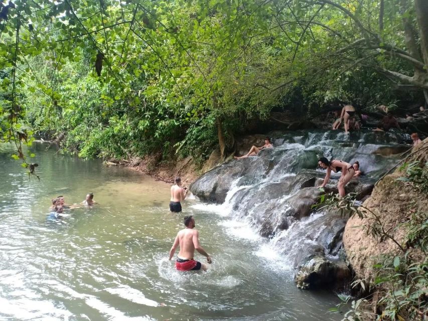 Krabi: Emerald Pool and Hot Springs Waterfall Half-Day Trip - Warm water at Krabi Hot Springs