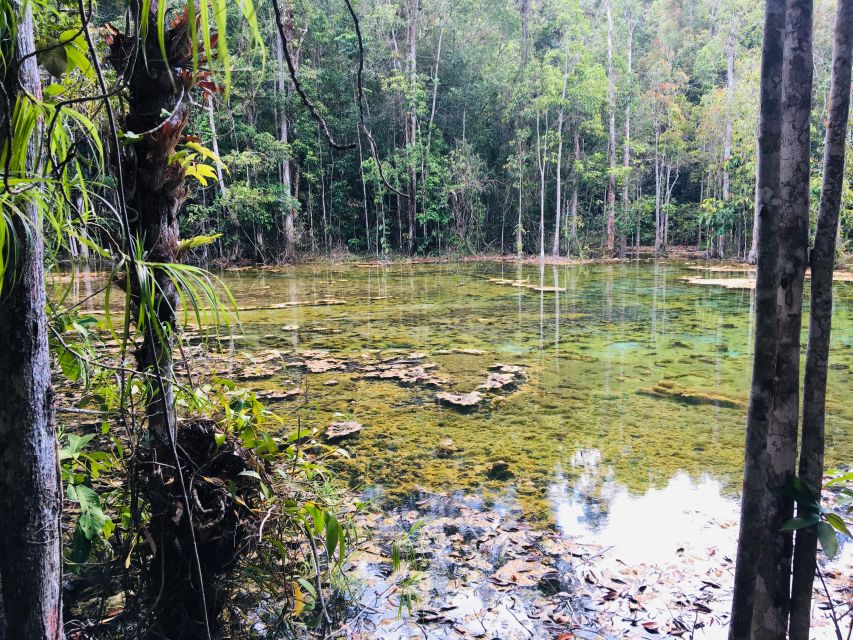 Krabi: Emerald Pool and Hot Springs Waterfall Half-Day Trip - Walking into the Emerald Pool