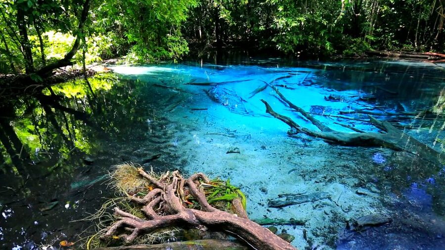 Krabi: Emerald Pool and Hot Springs Waterfall Half-Day Trip - What the guide adds to the forest walk