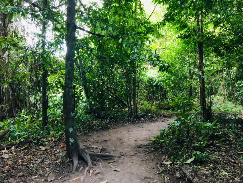 Krabi: Emerald Pool and Hot Springs Waterfall Half-Day Trip - The ride inland from Krabi and Ao Nang