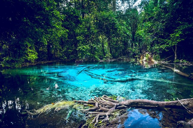 Krabi Emerald Pool, Hot Spring and Tiger Temple - Key points to know before booking