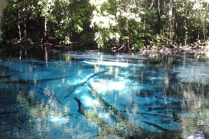 Krabi Emerald Pool, Hot Spring and Tiger Temple - Emerald Pool: cool water and a crowded start