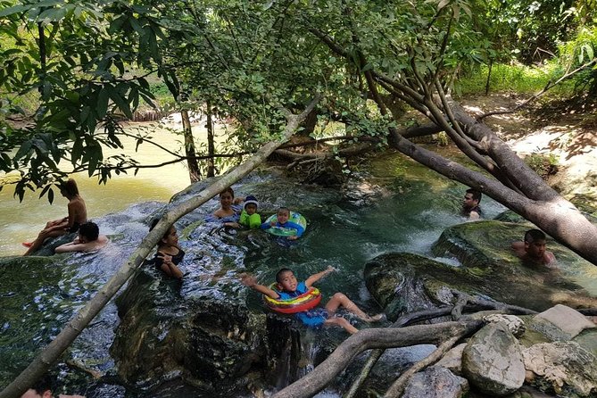 Krabi Emerald Pool, Hot Spring and Tiger Temple - Transport, pickup, and group size