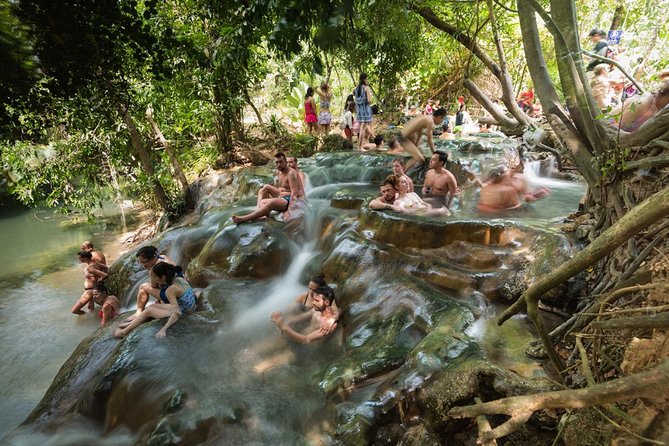 Krabi Emerald Pool, Hot Spring and Tiger Temple - Natural Hot Springs: Krabi’s warm-water break