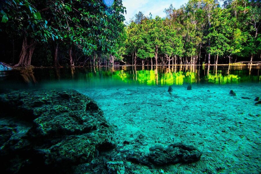 Krabi: Emerald Pool & Hot Spring Waterfall with Kayaking - A full day linking jungle pools and coastal mangroves