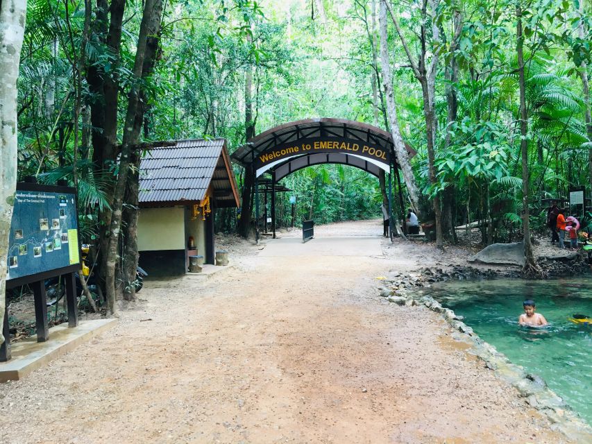 Krabi: Emerald Pool & Hot Spring Waterfall with Kayaking - Kayaking through Ao Thalane’s mangrove channels