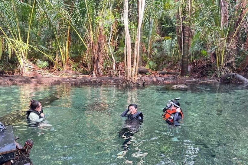 Krabi: Emerald Pool, Hot Springs, and Kayaking Tour - What the Transfers Really Mean