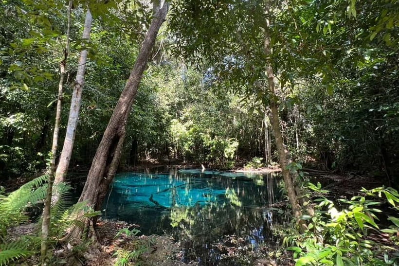 Krabi: Emerald Pool, Hot Springs, and Kayaking Tour - Who Should Book This Experience?