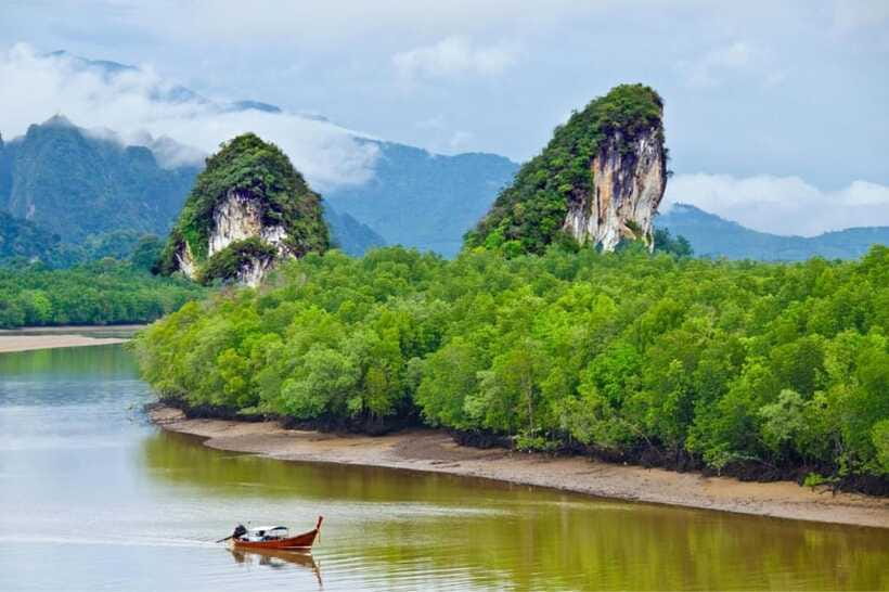 Krabi: Emerald Pool, Hot Springs & Krabi Town Day Tour - Krabi Town, black crab statue, and market time
