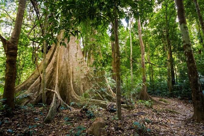 Krabi Jungle Adventure: Emerald Pool, Hot Springs & ATV - What can go wrong, and how to reduce the risk