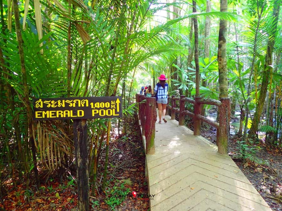 Krabi: Klongtom Hot Spring, Emerald Pool and Tiger Cave Tour - Klongtom Hot Springs: a warm start in the forest