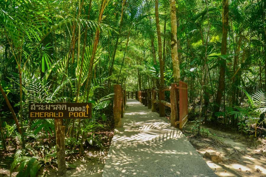 Krabi Private Escape: Emerald Pool, Hot Springs & Tiger Cave - Who should book this Krabi day trip?