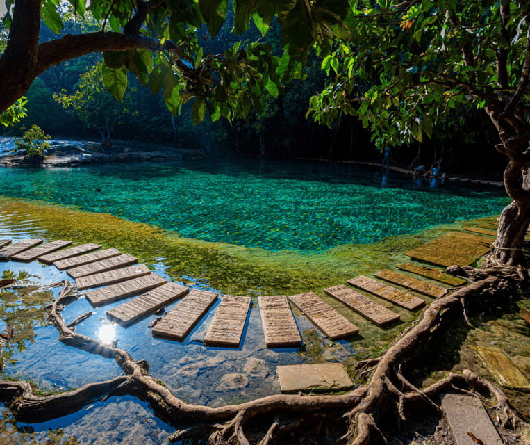 Krabi: Rainforest Jungle Tour with Emerald Pool & Hot Spring - A rainforest day with three different moods