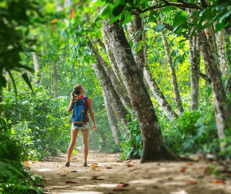 Krabi: Rainforest Jungle Tour with Emerald Pool & Hot Spring - Half-day or full-day: choose by your energy level