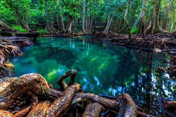 Krabi's Hidden Gems: Emerald Pool & Hot Spring Tour - Guide Apple and the small-group pace