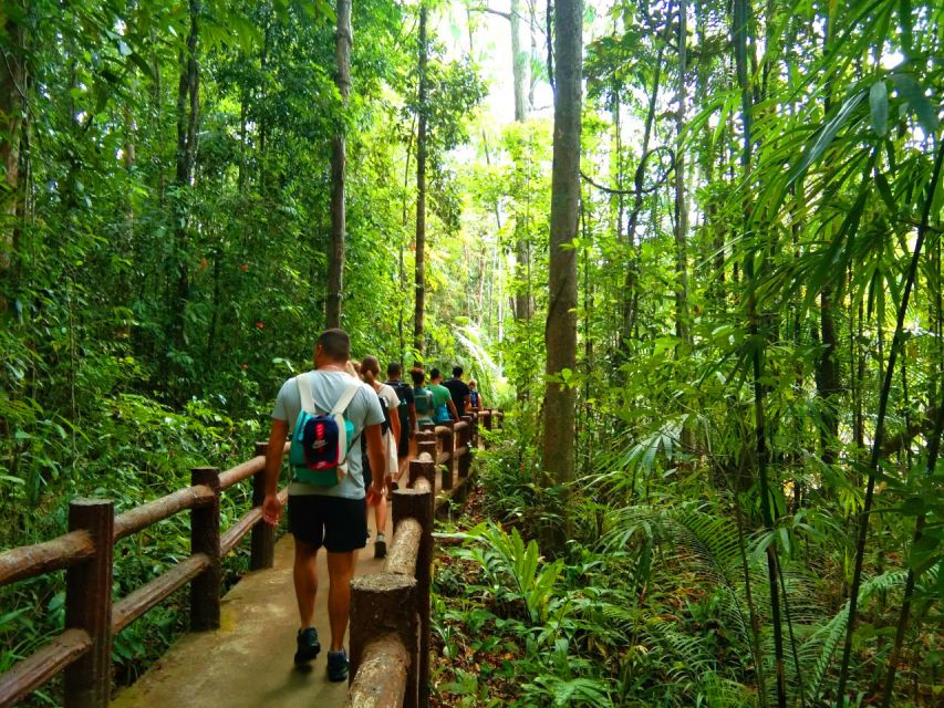 Krabi: Tiger Temple, Hot Springs & Crystal Pool Jungle Tour - Soaking in Klong Thom’s 40°C hot spring