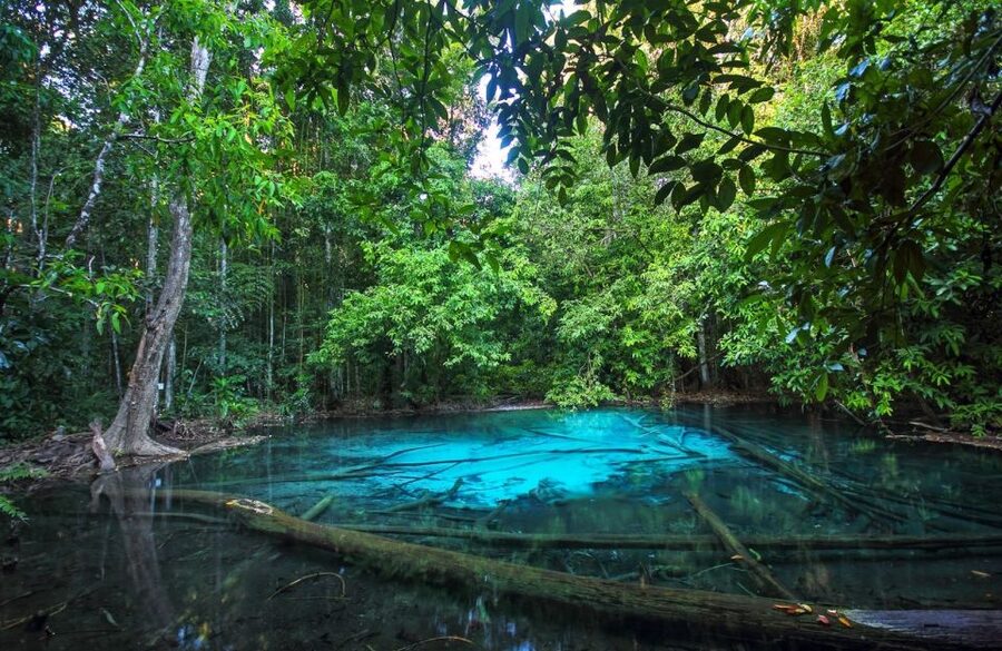 Krabi: Tiger Temple, Hot Springs & Crystal Pool Jungle Tour - Lunch near the pools, with useful flexibility