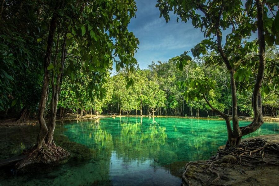 Krabi: Tiger Temple, Hot Springs & Crystal Pool Jungle Tour - Walking into the Emerald Pool rainforest