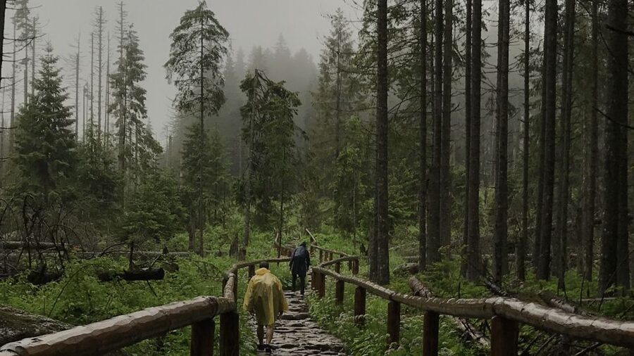 Krakow: Hiking Adventure in Tatra Mountains & Thermal Baths - Key points to know before booking