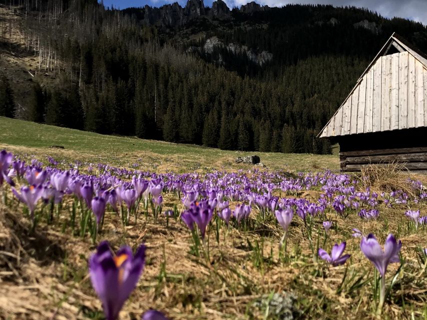 Krakow: Hiking Adventure in Tatra Mountains & Thermal Baths - Lunch at a mountain hut