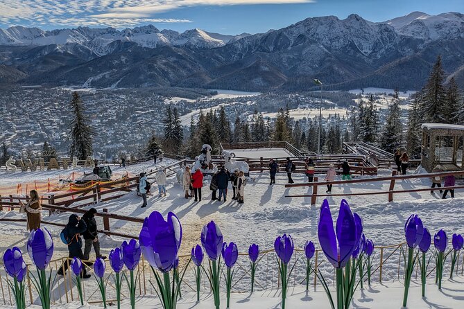 Krakow Zakopane Cable Car Vodka Cheese and Hot Springs Tour - Pickup, group size, and practical planning