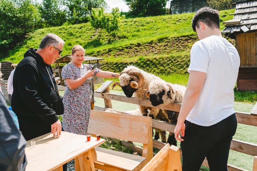 Krakow: Zakopane, Gubałówka, and Thermal Baths Day Trip - Why this day trip works from Krakow
