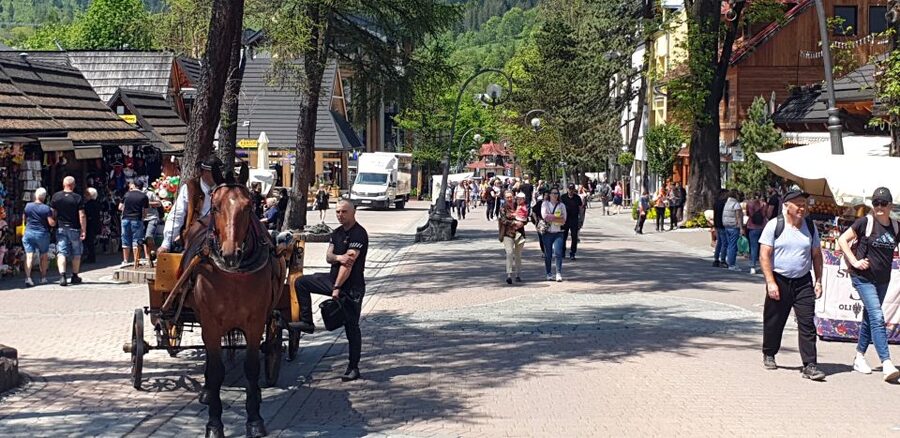 Krakow: Zakopane, Gubałówka & Thermal Baths – Full-Day Tour - Two and a half hours at Chochołowskie Thermal Baths