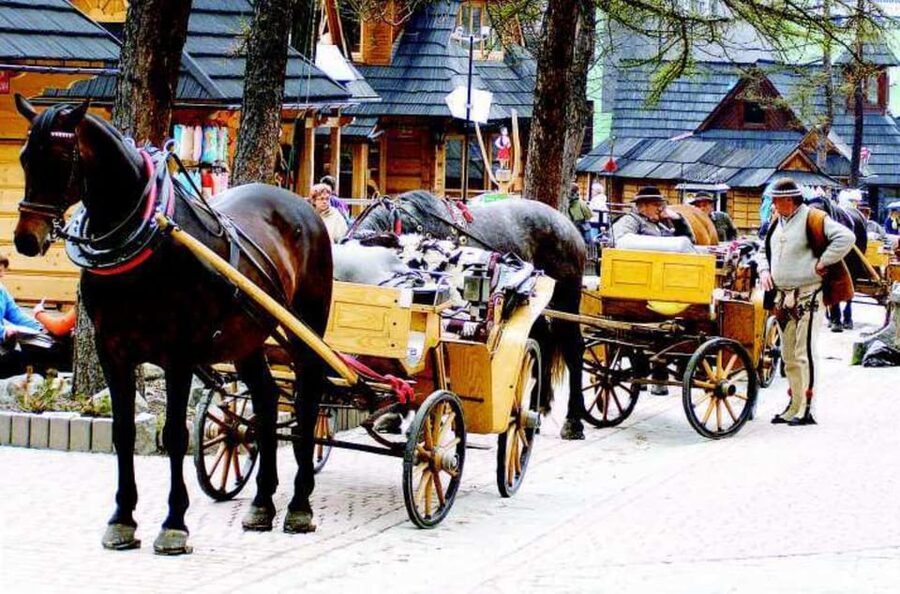 KRAKOW ZAKOPANE TOUR CABLE CAR THERMAL BATHS & HOTEL PICKUP - Food, guiding, and the feel of the day