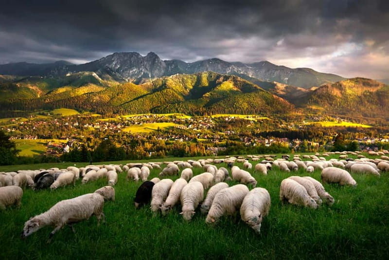 Krakow: Zakopane Trip with Thermal Pools & Hotel Pick-up - Key points to know before booking