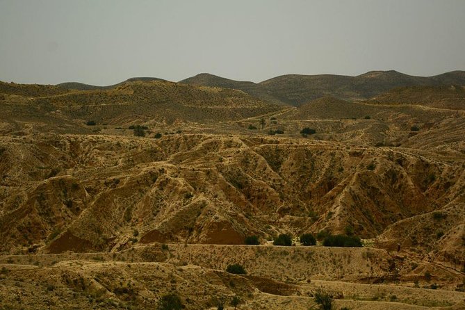 Ksar Ghilane 1 day: The hot spring and the homestay - Why Ksar Ghilane makes a strong day trip from Djerba