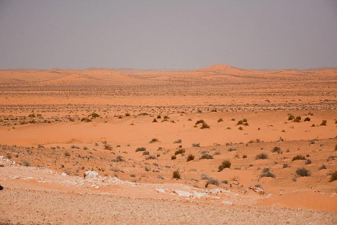 Ksar Ghilane 1 day: The hot spring and the homestay - Leaving Djerba at 6:00 a.m.