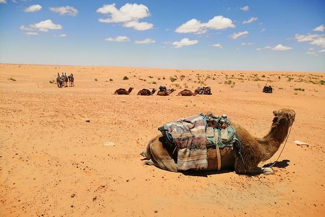 Ksar Ghilane 1 day: The hot spring and the homestay - The schedule problem to consider