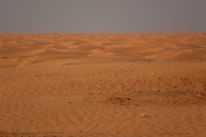 Ksar Ghilane 1 day: The hot spring and the homestay - Tamezret and the rosemary tea break