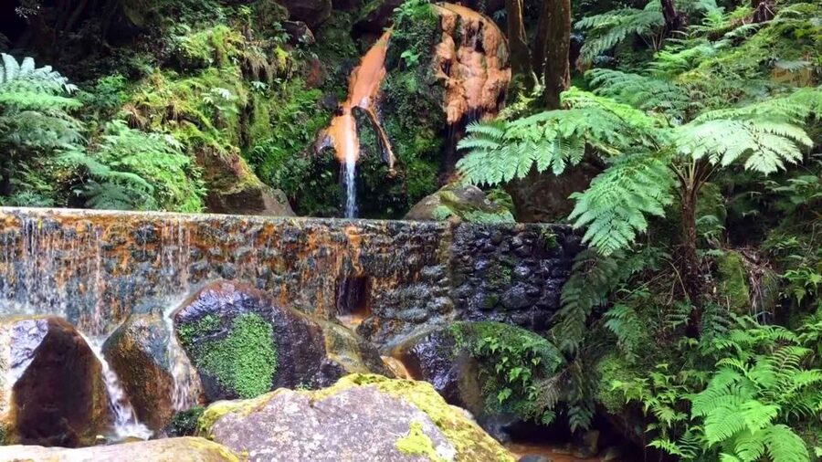 Lagoa do Fogo: Biologist-guided Volcano e-Tour +Hot Springs - Who will get the most from this tour