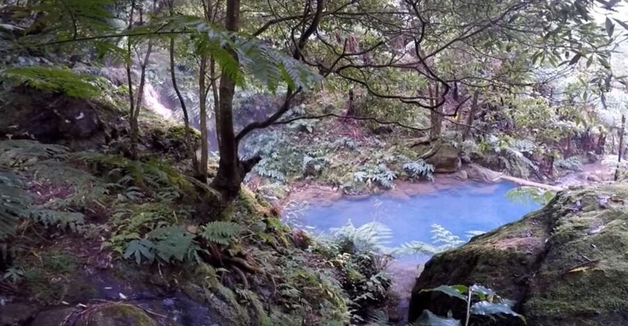 Lagoa do Fogo: Biologist-guided Volcano e-Tour +Hot Springs - Why Lagoa do Fogo works so well as a half-day outing