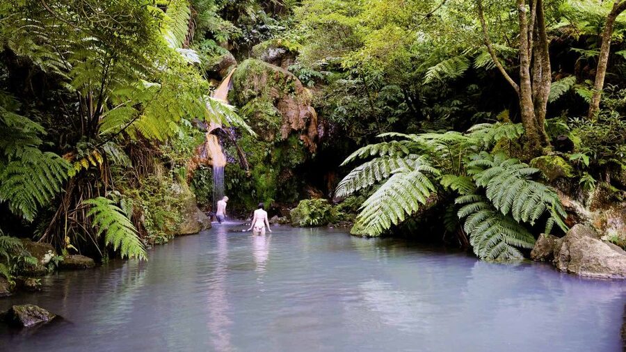 Lagoa do Fogo: Biologist-guided Volcano e-Tour +Hot Springs - The waterfall and coastal alternatives