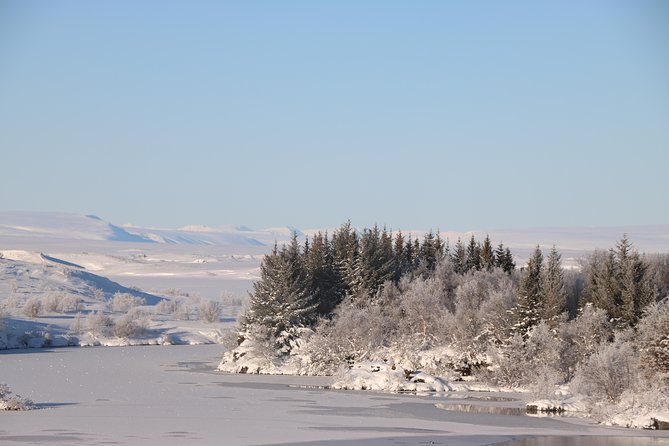 Lake Mývatn and Powerful Dettifoss Day Tour from Akureyri - Dettifoss brings the day’s raw power