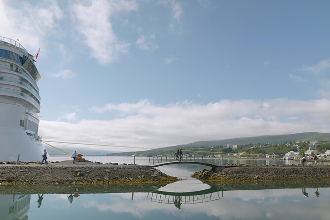 Lake Mývatn & Goðafoss Waterfall from Akureyri Port - Skútustaðir and the pseudo-craters of Lake Mývatn