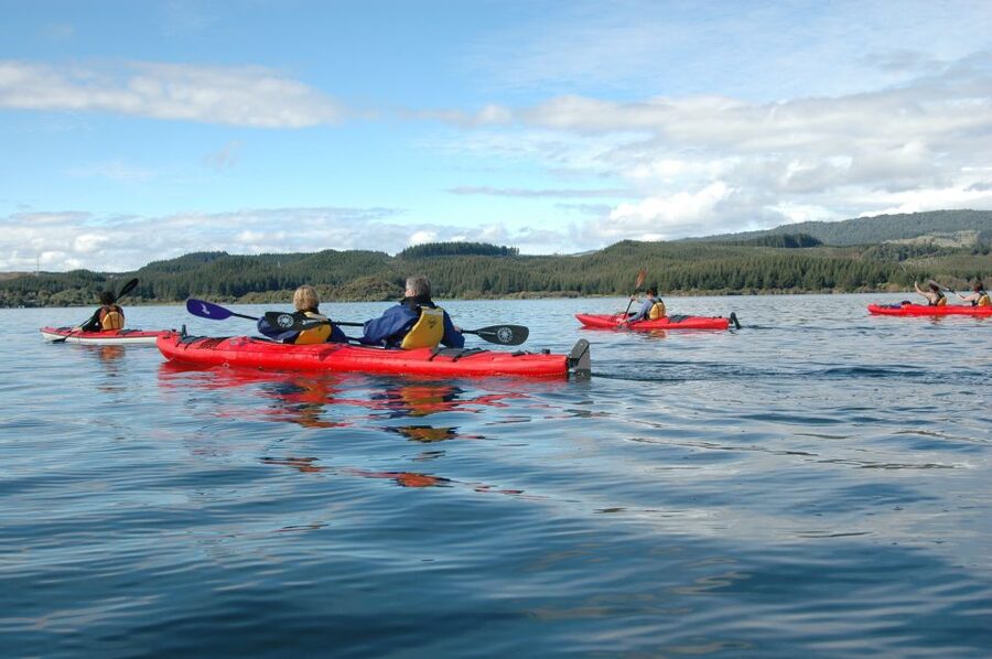 Lake Rotoiti & Hot Pools Guided Kayak - Who Will Enjoy This Kayak Tour Most?