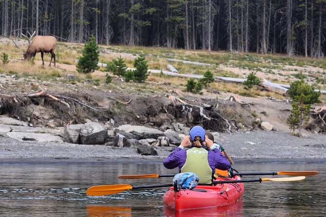 Lake Yellowstone Half Day Kayak Tours Past Geothermal Features - What you may see, and what not to expect