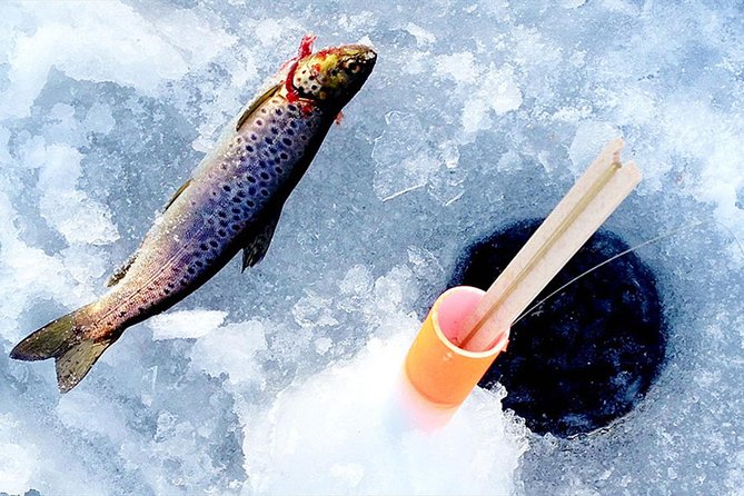Lakeside Sauna Trip with Ice Fishing and Ice Swimming - The ice swim: short, bold, and optional in spirit