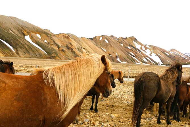 Landmannalaugar Hiking, Haifoss Waterfall and Hot Springs Tour - Why Landmannalaugar deserves a full day