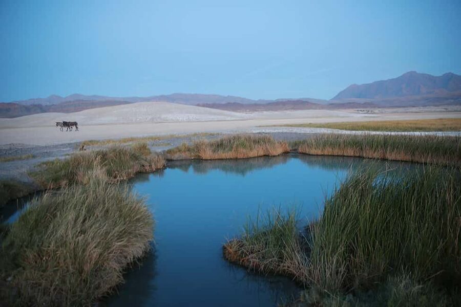 Las Vegas: Soak in a Natural Hot Springs near Death Valley - How the value compares with a standard excursion