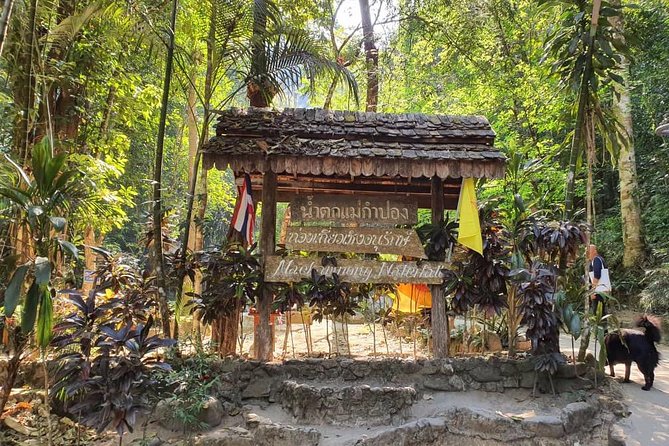 Lost in Chiang Mai - Secret Village, Hot Spring & Waterfall - A Cultural Therapy - Who should book this cultural escape