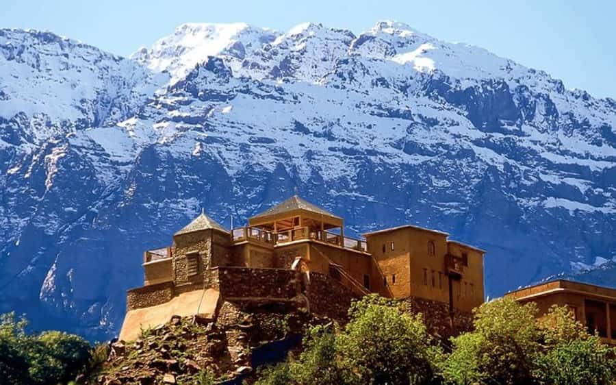 Marrakech: Berber Spa and Traditional Hammam with Steam Room - What this Marrakech spa visit is really like